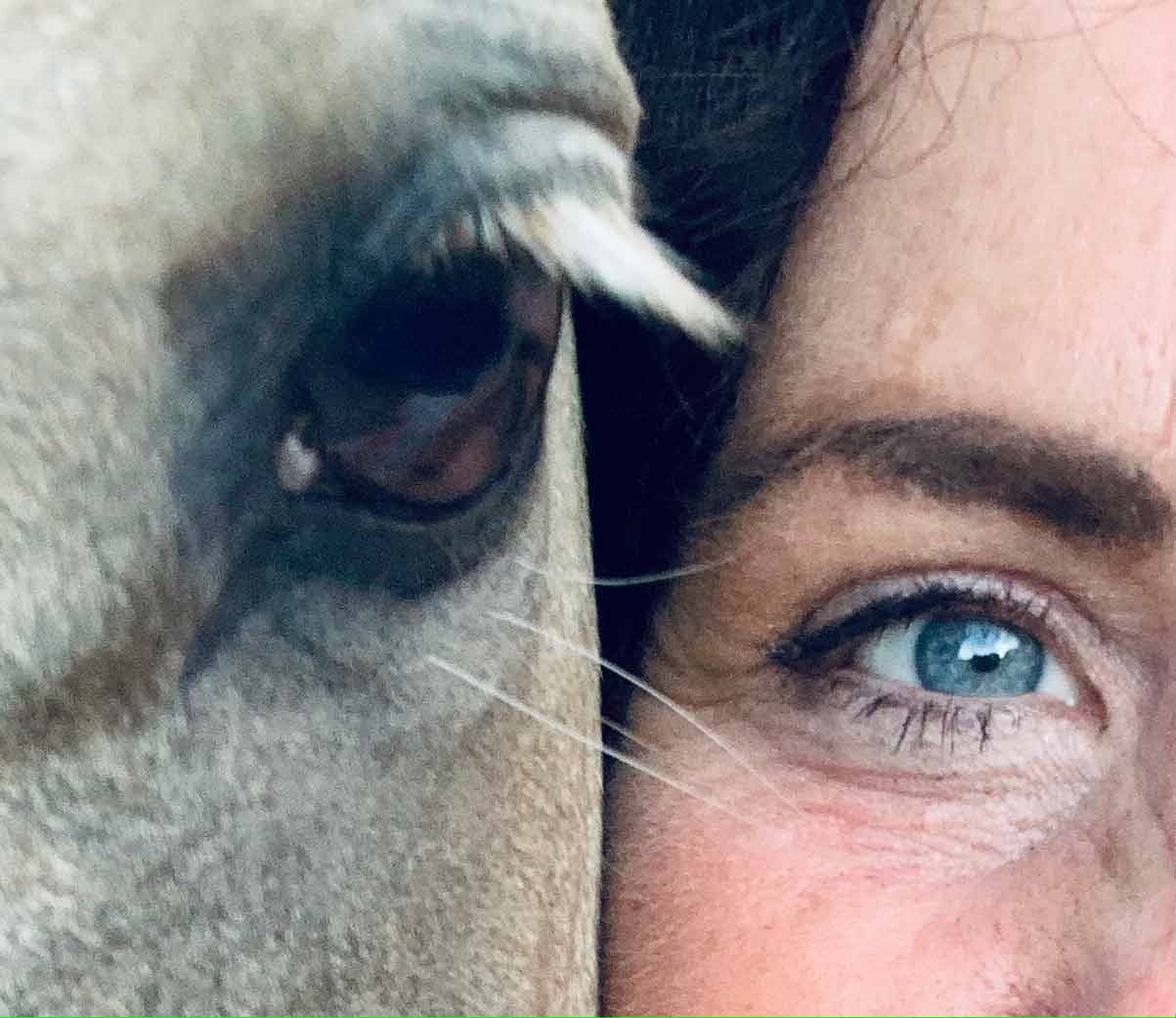 Nahaufnahme der augen von Tierkommunikatorin und ihrem Pferd. Augen sind die Sprache der Seele.