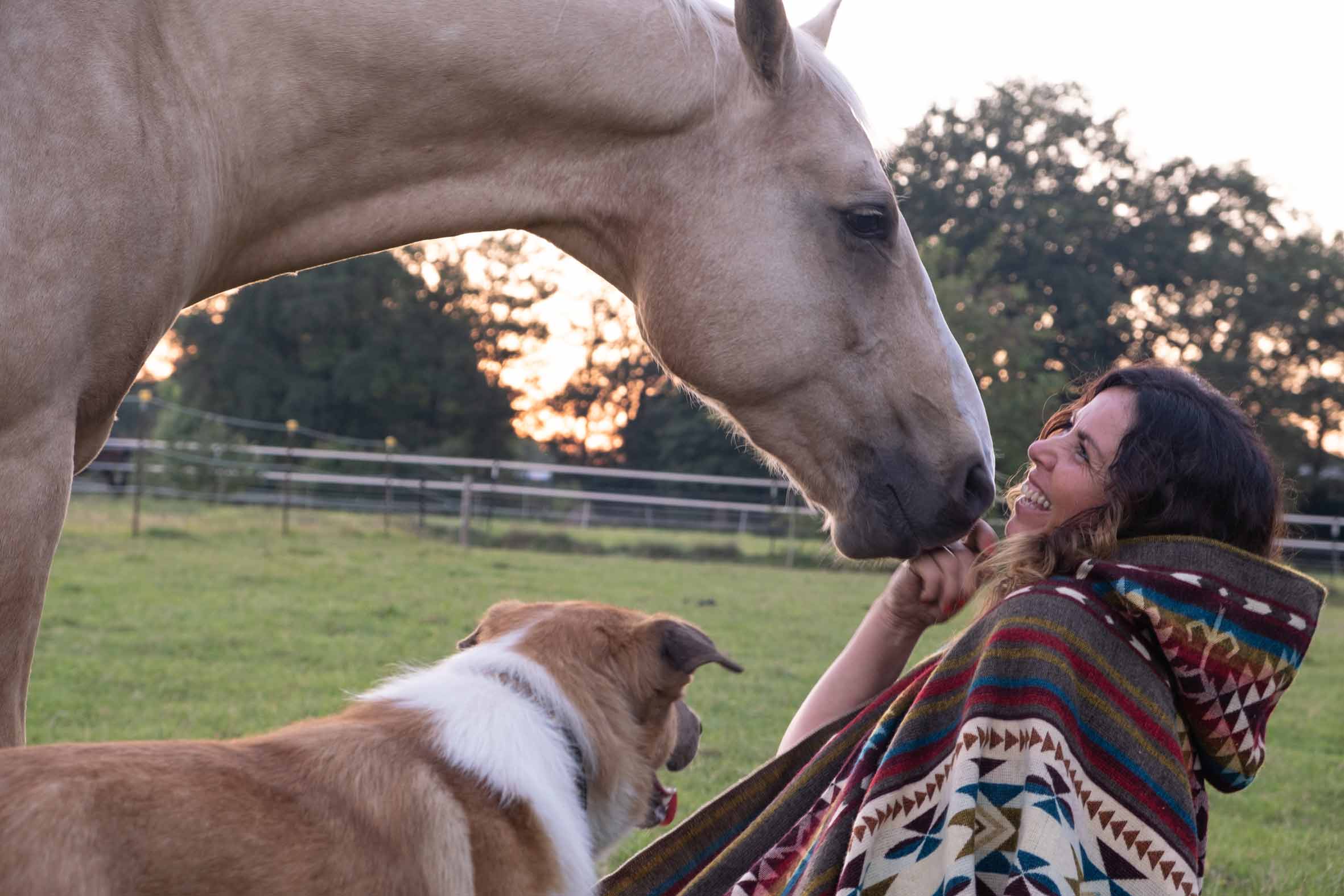 Tierkommunikatorin und ihr Pferd Freeman und ihr Hund Benji sind zusammen auf der Koppel. Es herrscht eine harmonische und innige Stimmung.